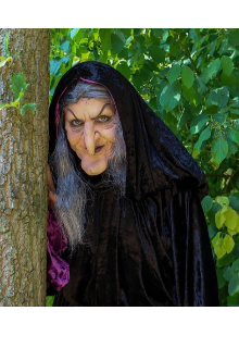 Ведьма (Ника)