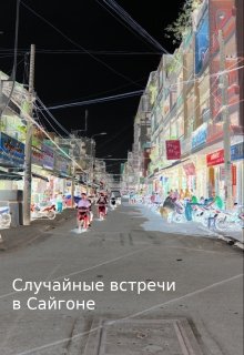 Случайная встреча в Сайгоне (Илинея Мороз)