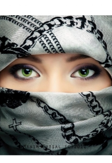 Донор на одну ночь (Ада П)