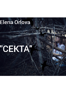 Секта (Elena Orlova)
