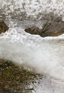 Мы мыслим… (Ива Коде)