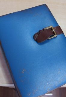 Иностранка (Sarah Schneider)