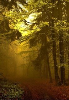 Прекрасная тьма (FoxVetta)