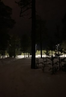 Хороша церковь зимой (Нестеров Глеб)