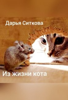 Из жизни одного кота (Дарья Ситкова)