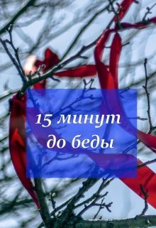 15 минут до беды (Лана Бунина)
