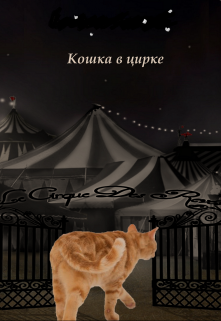 Кошка в циррке (Августина Белая)