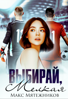 Выбирай, мелкая (Макс Мятежников)