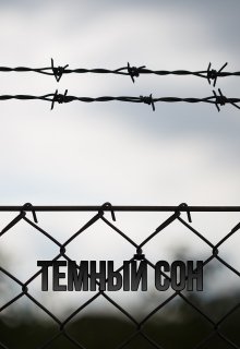 Тёмный сон (Визард)