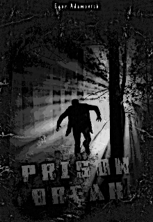 Prison break (Egor Adamovich)