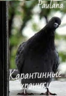Карантинные хроники (Paulana)
