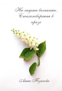 На ладони великана. Стихотворения в прозе (Анна Туисова)