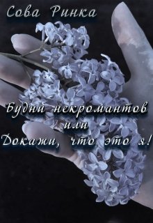 Будни некромантов или Докажи, что это я! (Сова Ринка)