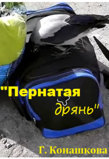 «Пернатая дрянь» или моя подружайка Ворона (Галина Конашкова (galcka68))