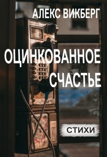 Оцинкованное счастье (Alex Vikberg)