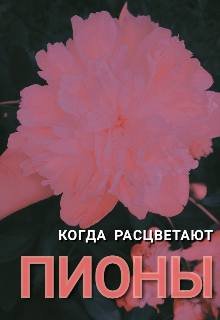 Когда расцветают пионы. (Пирожок с капустой)