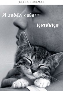 Я завёл себе… котёнка (Елена Дильман)