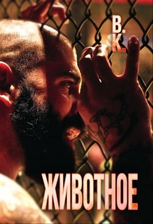 Животное (Владимир Костюченко)