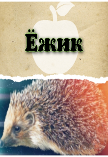 Ёжик (Дмитрий Кудашкин)