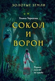 Сокол и Ворон (Черкасова Ульяна)
