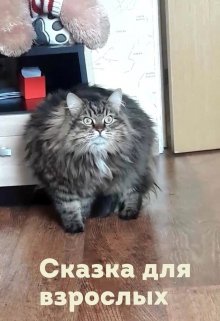 Сказка для взрослых (Лора Цыбульская)