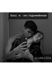 Босс и (не)подчинённая (Dianessa)
