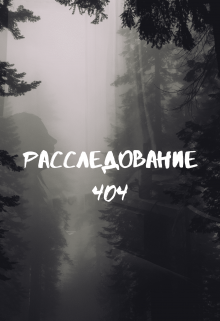 Расследование 404 (Sofi Auxil)