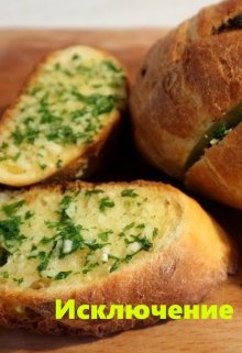 Исключение (Бес Анна)