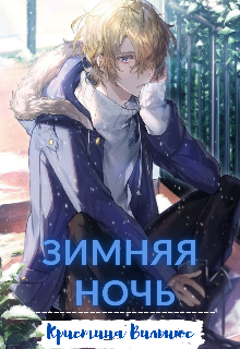 Зимняя ночь (Кристина Вильнюс)