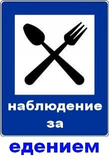 Наблюдение за едением (Нэтт)
