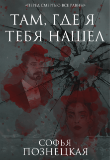 Там, где я тебя нашёл (Софья Познецкая)
