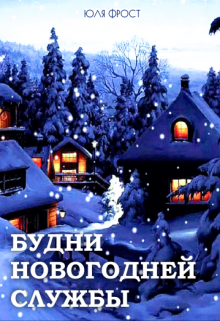 Будни Новогодней службы (Юля Фрост)