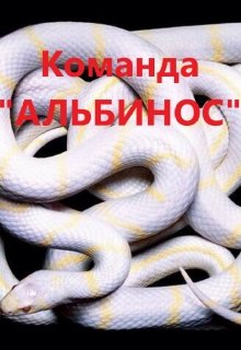 Команда «Альбинос» (Deloris)