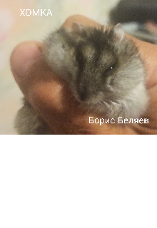 Хомка (Boris Беляев)