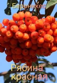 Рябина красная (Бероникес)