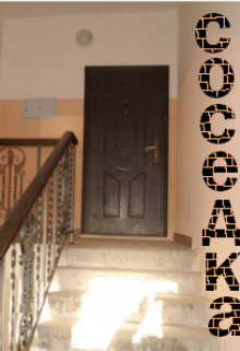 Соседка (Нэтт)