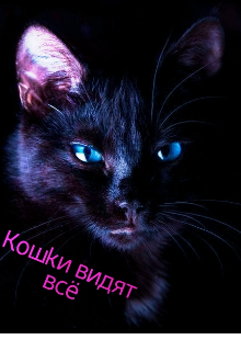 Кошки видят всё (Джекки Диллинджер)