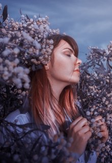 Девочка с цветочной улицы (Lucas Black)