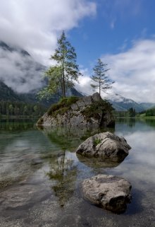 Деревце (Александр Прудников)