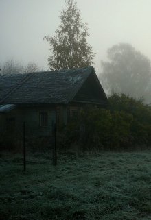 Крысолов (Андрей Друд)