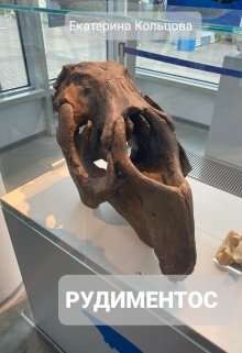 Рудиментос (Екатерина Кольцова)