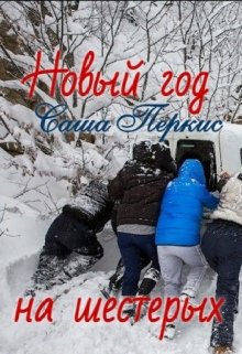 Новый год на шестерых (Саша Перкис)
