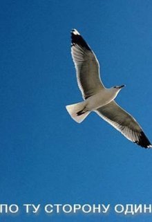 По ту сторону одиночества (Юровник)
