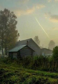 Львиная доля (Дарья Зарубина)