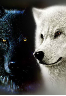 Для двух Альф (Rsmona)