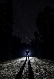 Попутчик (Александр Прудников)