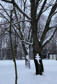 Когда нельзя… (Каменева Юлия)