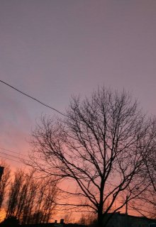Та самая любовь (Марджелис)
