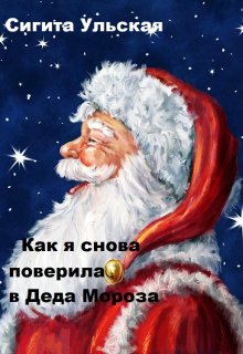 Как я снова поверила в Деда Мороза (Sigita)