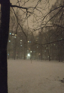 Двор (Sabtlefake)